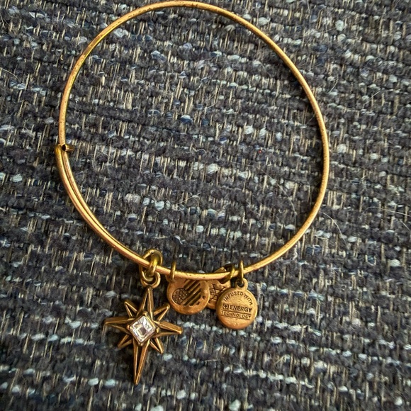 Six Alex and Ani Elegant Gold and Silver Charm Bracelets - Picture 7 of 8